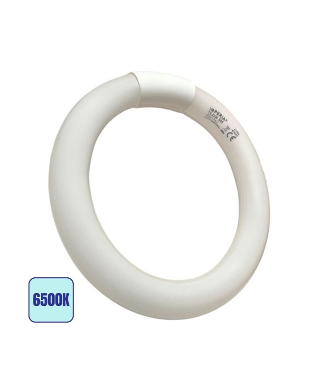 Plafoniera Circolare G10q 22W 1300lm 6500K Ø20,5cm - Imperia