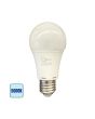 Lampadina LED A60 E27 10W - Basso Consumo, Luce Fotografica 5000K
