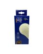 Lampadina LED E27 18W A65 3000K 1800lm 220° - Luce Calda