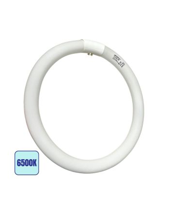 Plafoniera Circolare G10q 32W 2500lm 6500K Ø29,9cm - Imperia