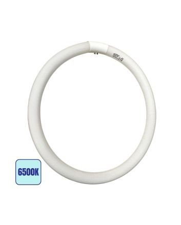 Plafoniera Circolare G10q 40W 3000lm 6500K Ø40cm - Imperia