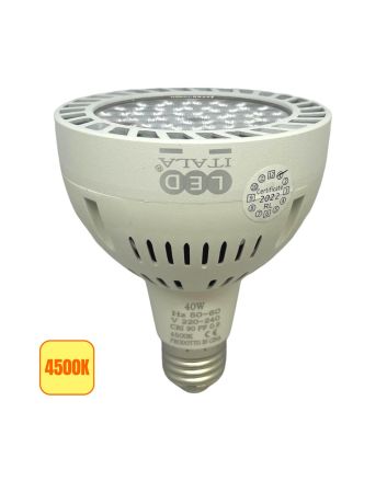 Lampadina LED E27 PAR30 40W 4500K 5200lm Bianca Fascio Luminoso 38°