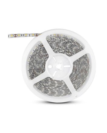 Striscia Strip LED RGB SMD5050 10W/M 60 LED/m 12V IP65 Prezzo al Metro