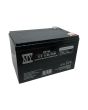 Batteria Ricaricabile al Piombo 12V 12Ah 20Hr HZ162 - Matsuyama