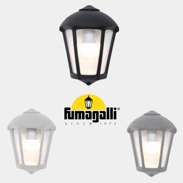 Lampada da Parete Esterno Lanterna IP55 Impermeabile Portalampada E27  Lampadina Max 60W (non inclusa) Paralume Vetro Opaco e Alluminio Pressofuso