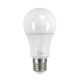 Lampadina LED E27 15w | A65 - Asia Led - Luce Fredda 6000k