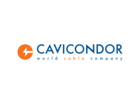 Cavicondor